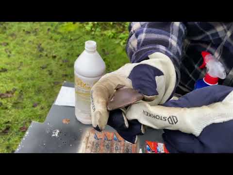 Restoration. Household chemicals against bronze