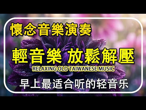 懷念音樂演奏 輕音樂 放鬆解壓【非常好听】台語懷念音樂精華集 | 早上最适合听的轻音乐 | 放鬆心情與休息的療癒音樂 - Relaxing Old Taiwan Music