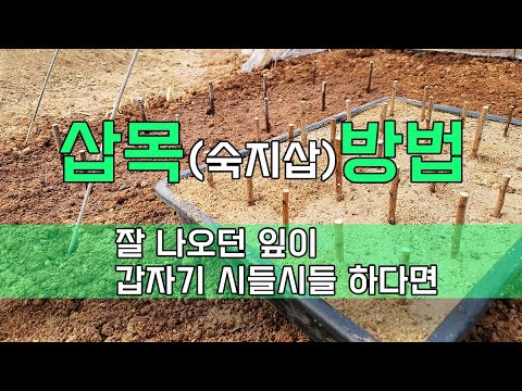 Cuttings (skilled cuttings) method and practice
