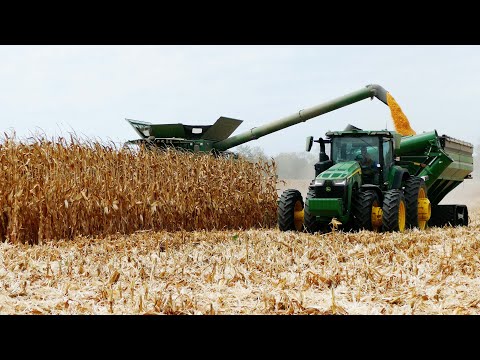 John Deere S780 Combines and 16-Row Corn Headers Harvesting Corn | BIG Harvest