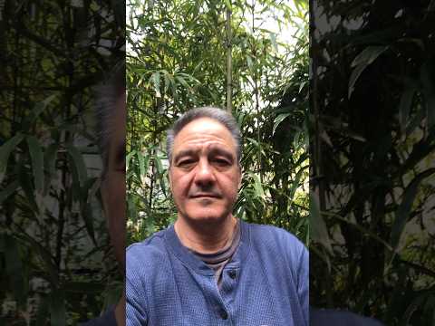 Sake Pro Course live online in May #nihonshu #sake #日本酒