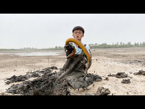 兩斤多重的鱔魚長啥樣？今天非要下塘一探究竟，解開這個好奇#fishing #熱門