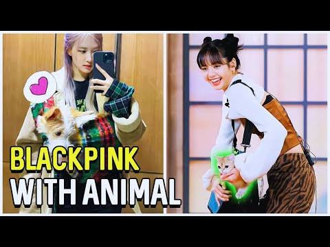BLackpink With Animals Cute Moments