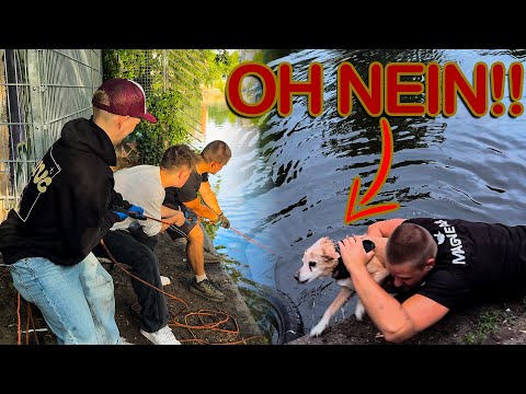 DAS ist nicht WIRKLICH PASSIERT?!😧🐕 - Magnetfischen mit HEYMORITZ und Gebrüder Lange