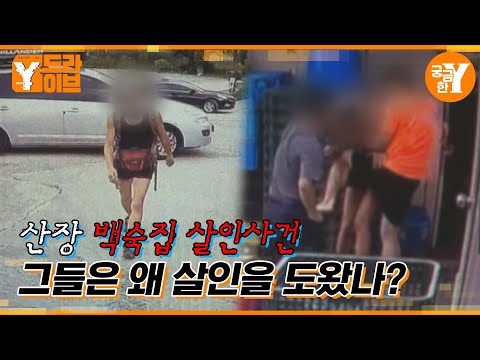 또 다른 공범의 등장, 식당에선 무슨 일이 있었나? | Y드라이브