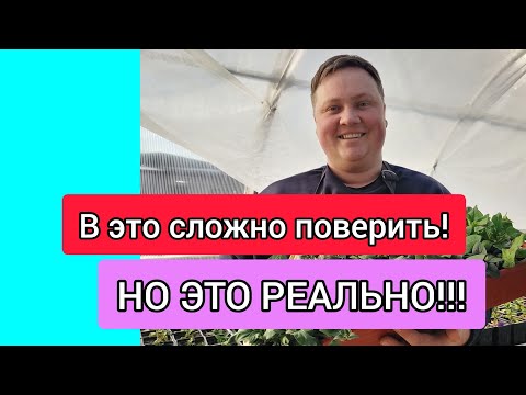 Петуния зацветёт через 30 дней от посева! Раскрываю секрет!