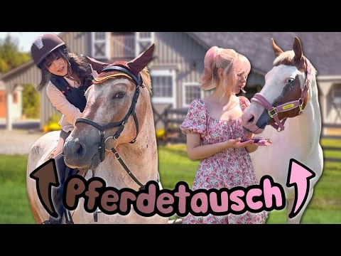 Wir tauschen 24 Stunden unsere Pferde 🔁 (tausche Teufel gegen Prinzessin)