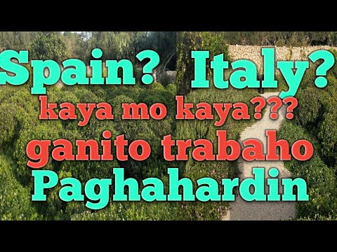 trabaho sa spain na puede mong pasukin|hardinero👍👍