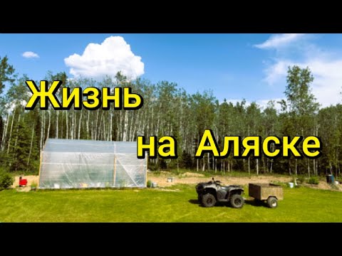 Жизнь на Аляске. Весна-лето 2025г. Стройка. Домашнее хозяйство. Рыбалка.