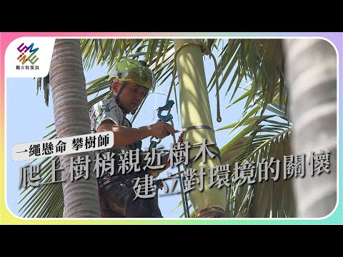 爬上樹梢親近樹木，建立對環境的關懷｜一繩懸命 攀樹師｜公視 #獨立特派員 第803集 20230531