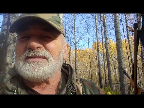 Про Навигатор для Охотничьих собак