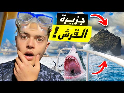 تحدي 72 ساعة في جزيرة جالطة | سبحت مع قرش و عثرت على عملة نقدية نادرة ! ( الجزء الثاني )