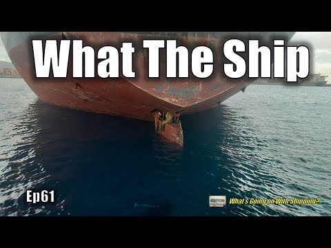 What the Ship (Ep61) |  Grain Prices | Russian Oil | Container Profits | Cruise Mishaps | Stowaways