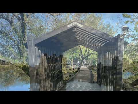 羅東林業公園 三星落羽松秘境 鴻德養老院 11