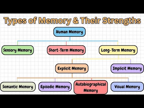 The hidden power of each Memory type | How our memory works