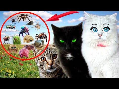 ЛЕТО – это ОПАСНО! Кошки Спешат на ПОМОЩЬ! Подряд 5 опасных видео