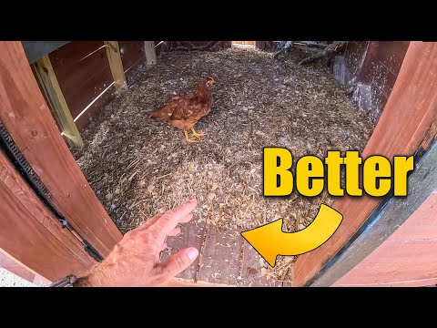 Chicken Coop Deep Bedding Method - A Better Way?