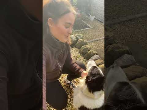 Living ☕️🥾🐶🏡#countryoutfits #hollandcooper #countrywalks #bordercollie #countryliving