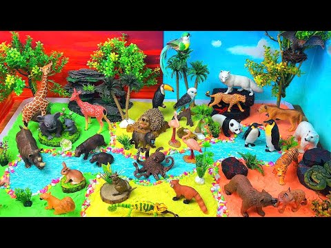 Explore Forest, Desert, Jungle & Arctic Animals! π¦πΌβοΈ
