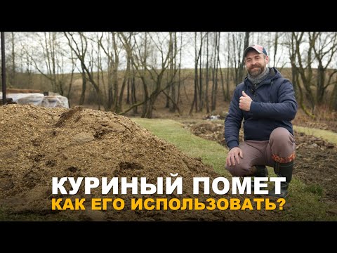 НЕТ ЦЕННЕЕ УДОБРЕНИЯ ДЛЯ ОГОРОДА, ЧЕМ КУРИНЫЙ ПОМЁТ. Как правильно использовать куриный помёт.