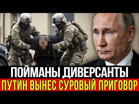 Итоги расследования «Паутины»: вся диверсионная группа задержана. Сенсационный обыск