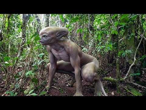 20 Przerażających Rzeczy Znalezionych W Amazońskim Lesie Deszczowym