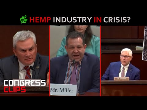 What Congress Heard About Hemp in April as Ban Looms! 🌿