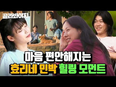 (80분) 보기만 해도 나른해지는 소길리댁☺ ＜효리네 민박＞ 속 이효리X이상순X아이유 힐링 모먼트🍃｜효리네 민박｜JTBC 170926 방송 외