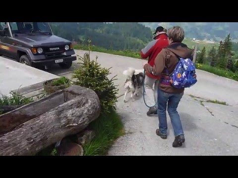 Unterwegs mit  den "8 Pfoten"...