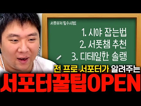 티어 안 올라가시는 분들 이것만 하시면 됩니다 [서폿 강의]