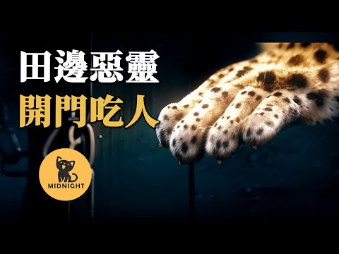 兇獸成精，8年間不斷開門進屋吃人，印度恐怖豹患