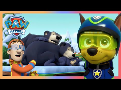 熊家族🐻不小心在鎮上睡著了!😪跟著汪汪一起將可愛的熊熊運回家 - PAW Patrol 汪汪隊立大功 - 兒童卡通