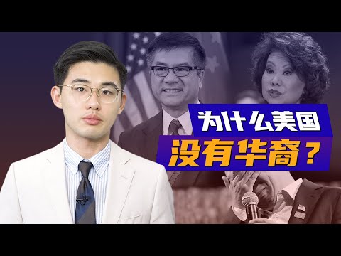 骁话一下：为什么美国没有华裔？