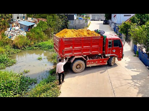 First Start a Perfectly Landfill Project Use Skill Driver Dozer Pushing Stone Into Water with Truck