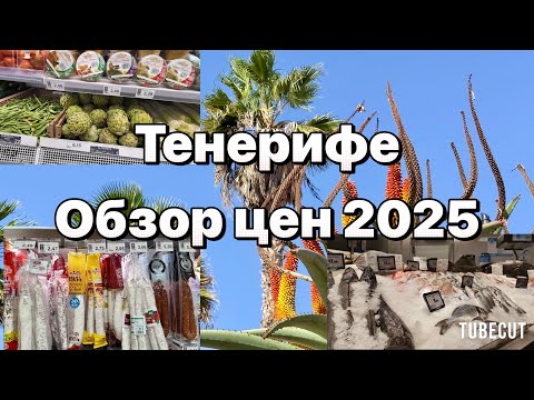 Tenerife Grocery store prices Where, what, how much 2025?