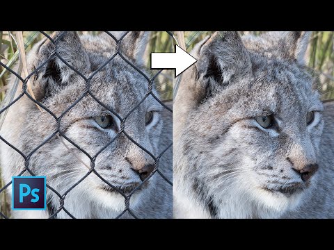 EASILY Remove a FENCE Using PHOTOSHOP