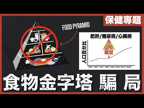 [不是陰謀論]跨國鉅企財金政治與學術造假的產物－食物金字塔｜跟從只會換來肥胖、糖尿、心臟病｜中文字幕