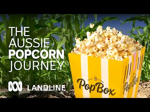 Aussie-grown snack food popping off the shelves for farmers 🍿🌽👨‍🌾 | Landline | ABC Australia