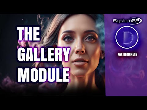 Divi For Beginners: 3 Creative Ways to Use The Gallery Module