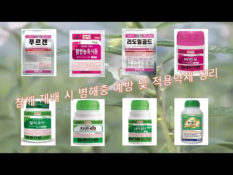 참깨의 주요 병해충의 방제 방법 및 적용약제