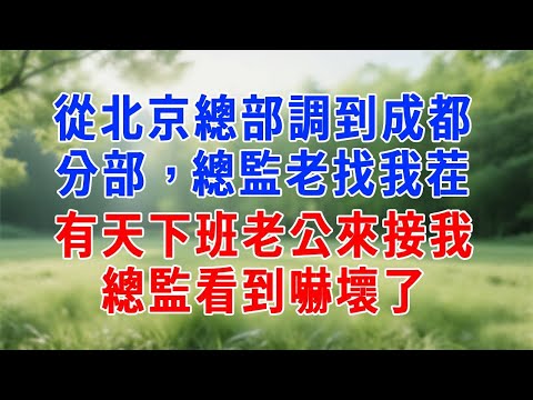 我從北京總部調到成都分部，總監老找我茬，有天下班老公來接我，總監看到嚇壞了！#人生感悟 #故事分享 #故事頻道 #职场 #打脸