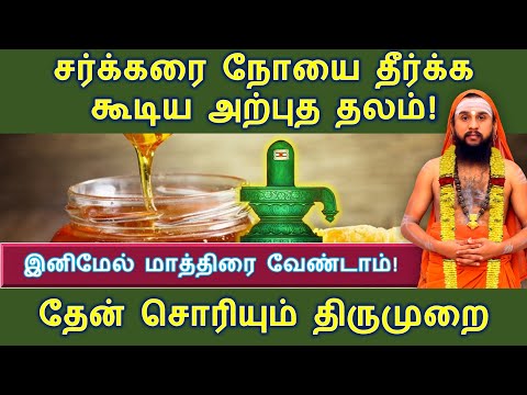 சர்க்கரை நோயை தீர்க்க கூடிய அற்புத தலம்! இனிமேல் மாத்திரை வேண்டாம்!