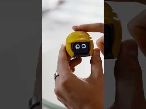 Poki — компаньон в машину