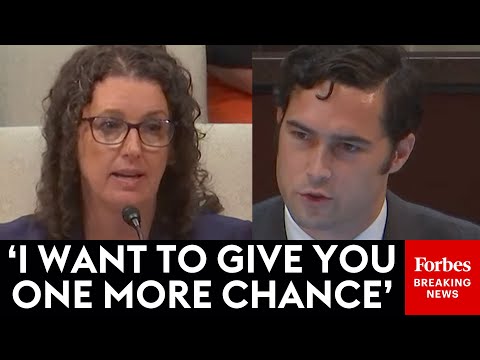 SHOCK MOMENT: 'Are You A Covert White Supremacist?': Brandon Gill Shows No Mercy To Dems' Witness