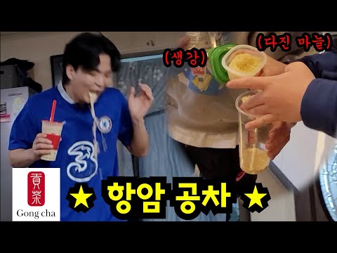 배말랭 항암 공차 만들어 먹이기ㅋㅋㅋ