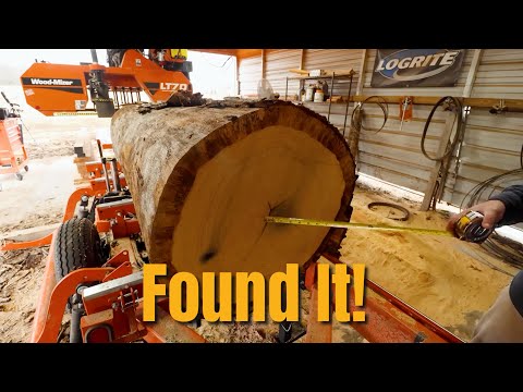 I Thought This Oak Footage Was Lost Forever