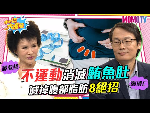 名醫密技大公開 不運動消滅鮪魚肚 減掉腹部脂肪8絕招 20230420 劉博仁 譚敦慈【小宇宙大爆發】完整版 @SnowNonStop