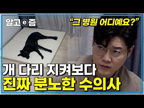 "이렇게 심각한 걸 몰랐다고?" 전 지금 이걸 그냥 두게 한 의사에게 정말 화가 납니다. 진심입니다. 정말 화가 난 설채현｜세상에 나쁜 개는 없다｜알고e즘