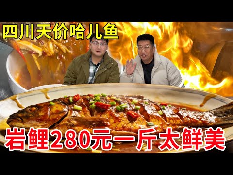 四川泸州吃天价哈儿鱼，岩鲤280元一斤，肉质鲜嫩太值了#麦总去哪吃
