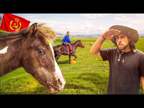 Looking to Buy a Horse in Red Hero City 🇲🇳